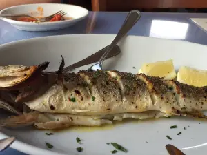 Edo's Squid