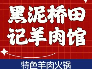 HEI NI QIAO TIAN JI SHAN YANG ROU GUAN