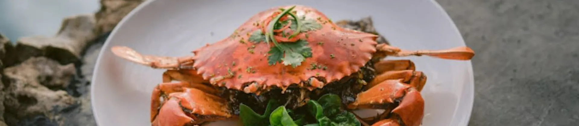 Must-Visit Restaurants
