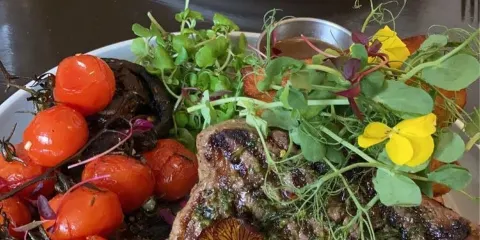 The Wellington