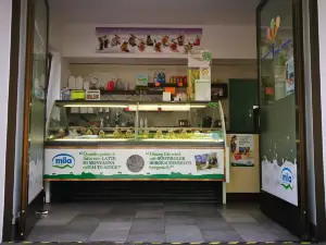 Sammy's Eislabor