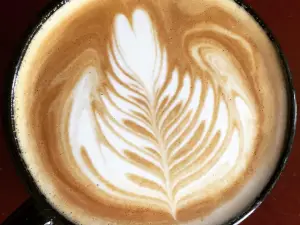 Stellar Coffee Co