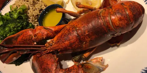 Red Lobster