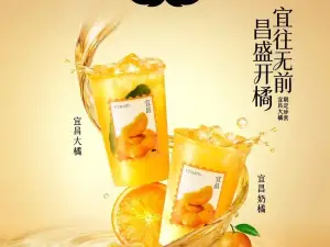 爷爷不泡茶NOYEYENOTEA(西藏林芝市米林店)