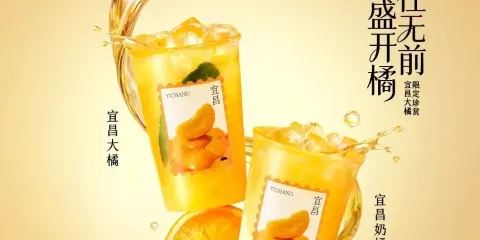 爺爺不泡茶 NOYEYENOTEA（西藏山南貢嘎機場店）