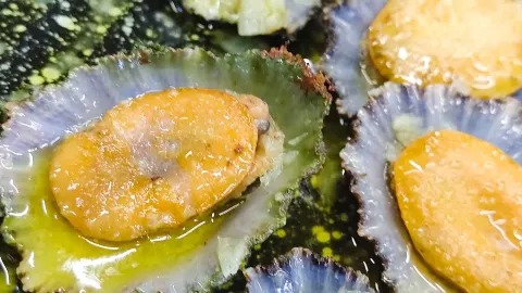 Tasca da Fatinha in Distretto di Setúbal
