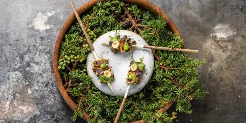 Treetop Restauranten