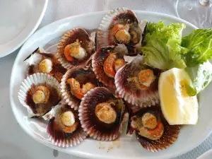 Taperia Pedramar