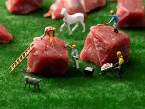 正当时烟火烤肉