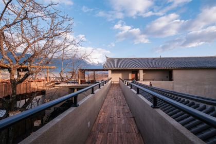 Kuiran Snow Mountain Treehouse Coffee