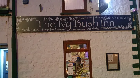 Ivy Bush Inn in 나버스