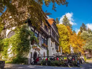 Carol Gastro Bierhaus