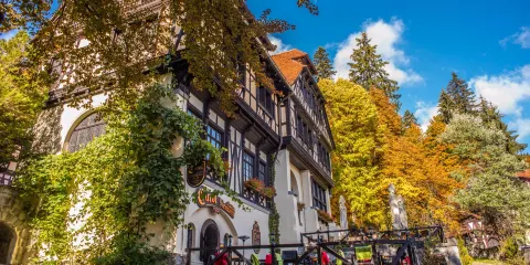 Carol Gastro Bierhaus