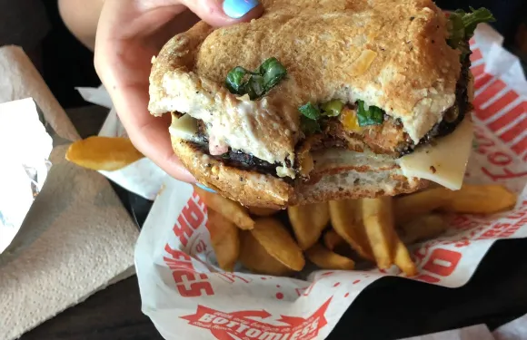 Red Robin Gourmet Burgers