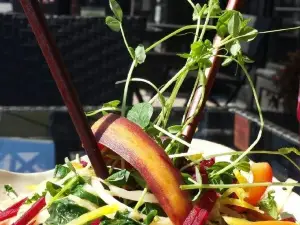 Sol Kitchen