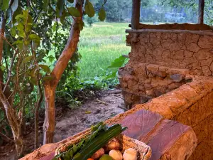The Kitchen Garden
