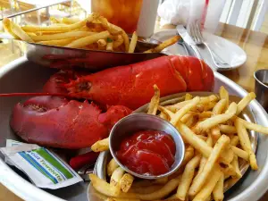 The Claw House