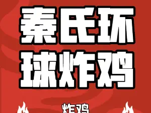 秦氏环球炸鸡(解放北路店)