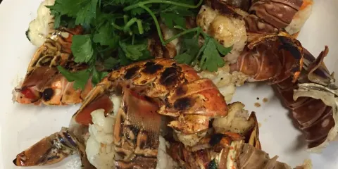 Frenchie's Italian Cuisine