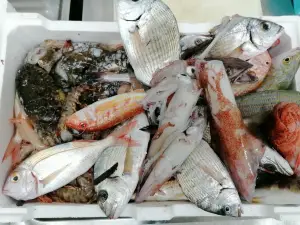 Taberna Do Mar