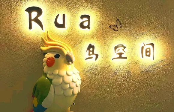 鳥空間