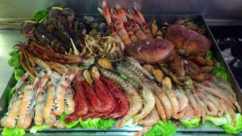 Bar Salguero in โมรอน