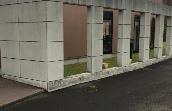 大清