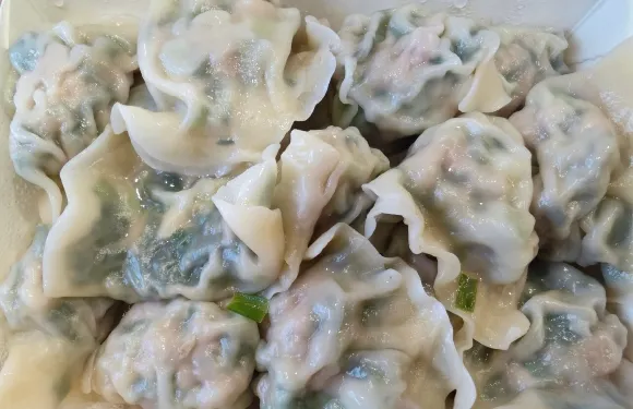 Wen Jia Dumplings