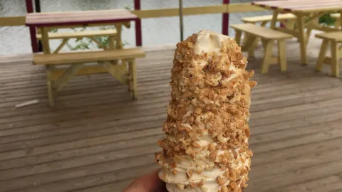 Cone E Island Ice Cream in Catskill