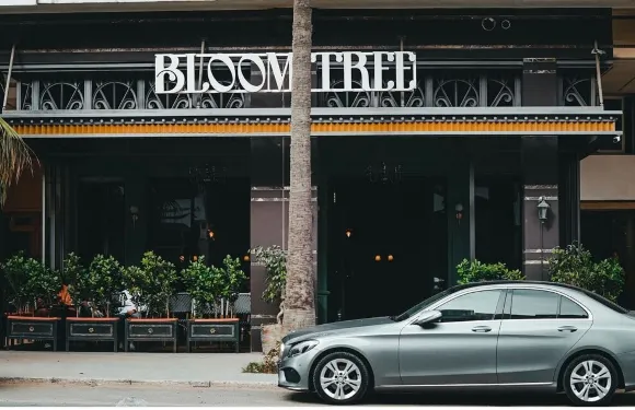 Bloom Tree