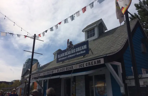 Black Bear Ice Cream