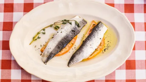 Casa Zarracina in Elche