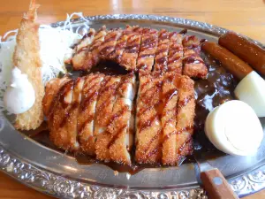 ゴーゴーカレー 太宰府向佐野スタジアム