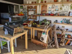 The Shack