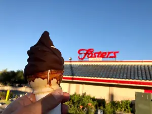 Fosters Freeze