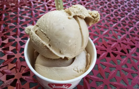 Fainting Goat Gelato