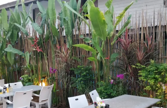 Sara Jane's Garden Restaurant - Hua Hin