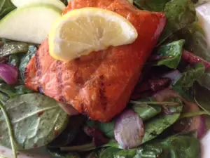 King Salmon - Denali Princess Lodge