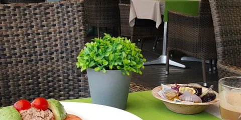 El Oasis Tapas y Cócteles