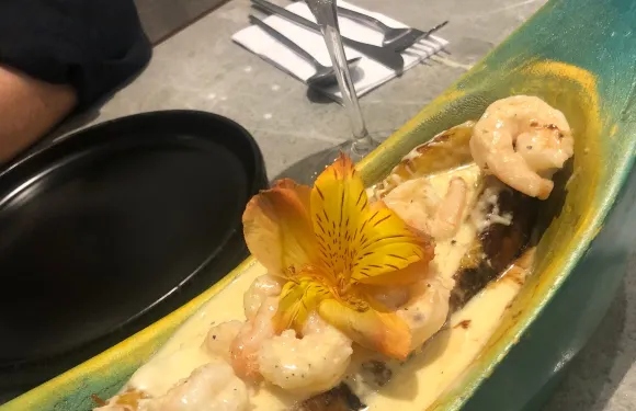 Cardumen Cocina