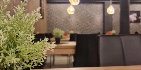 Pizzeria Magenta