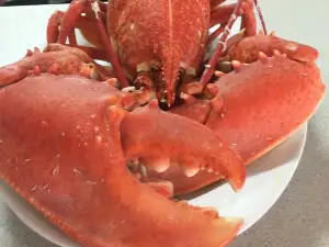 Sardeladiko