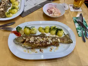 Waldhaeusl am Schleicherbach