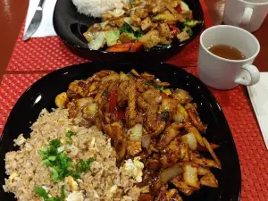 Hoa Phong Lan - Orkidean Kukka