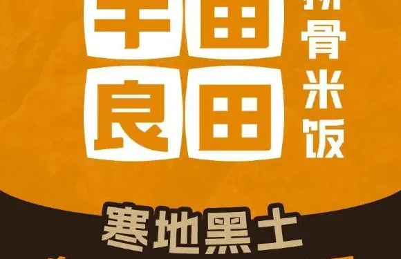 半畝良田排骨米飯（比優特店）