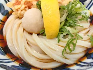 Flying Udon Yamabukiya