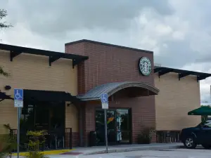 Starbucks Coffee Company