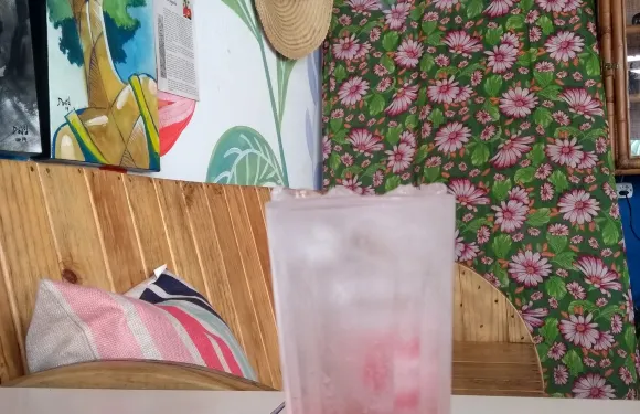 Quintal da Frida