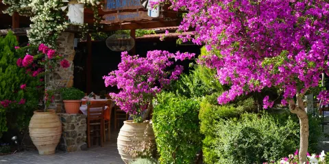 Anemomilos Restaurant