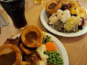 The Saddlers